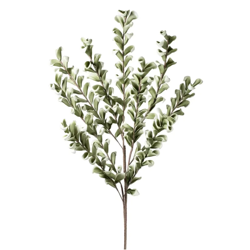 Desert Multi Bloom Eucalyptus 54" Stem - Green